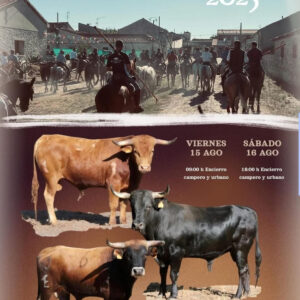 "TOROS HONTALBILLA 15 Y 16 DE AGOSTO 2025