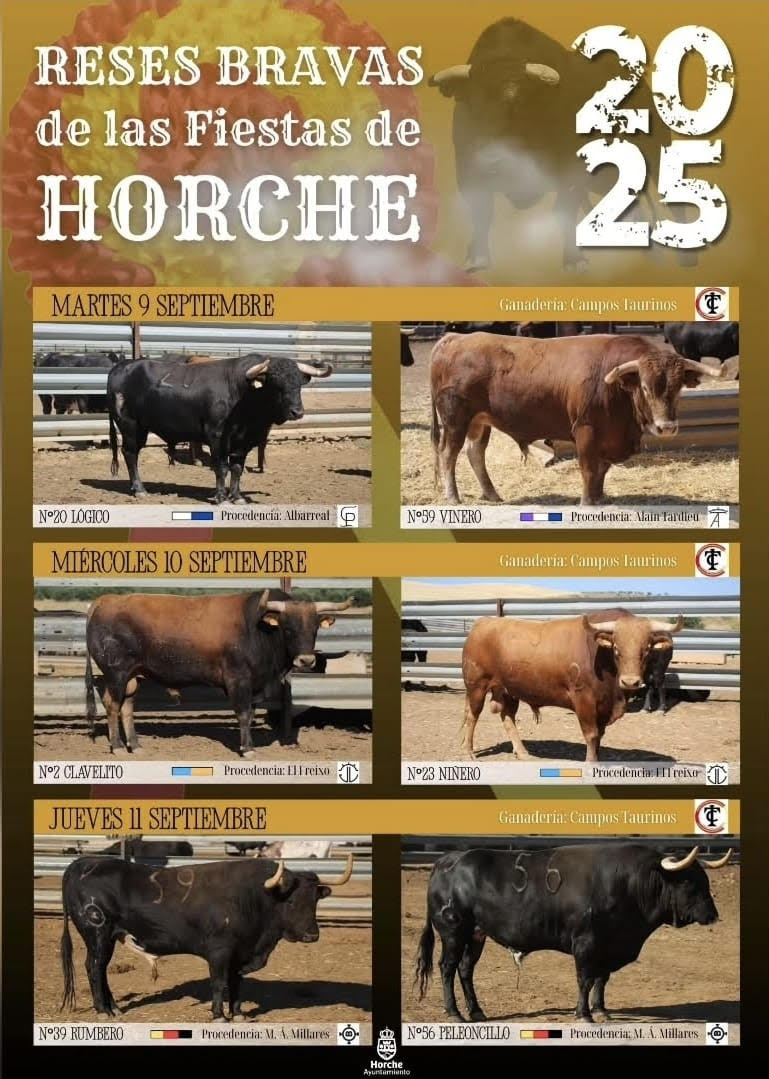 TOROS HORCHE DEL 9 AL 11 SEPTIEMBRE 2025