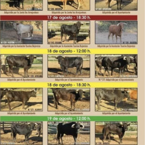 TOROS HORNOS DE SEGURA DEL 17 AL 18 DE AGOSTO 2025