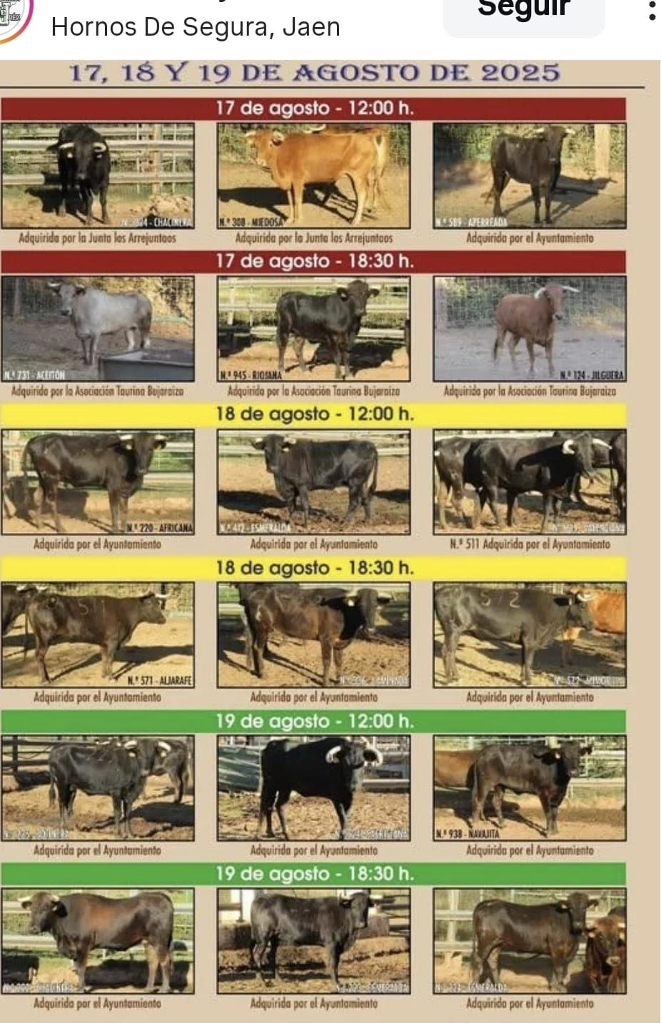TOROS HORNOS DE SEGURA DEL 17 AL 18 DE AGOSTO 2025