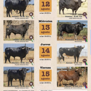 "TOROS JARAIZ DE LA VERA DEL 12 AL 15 DE AGOSTO 2025"