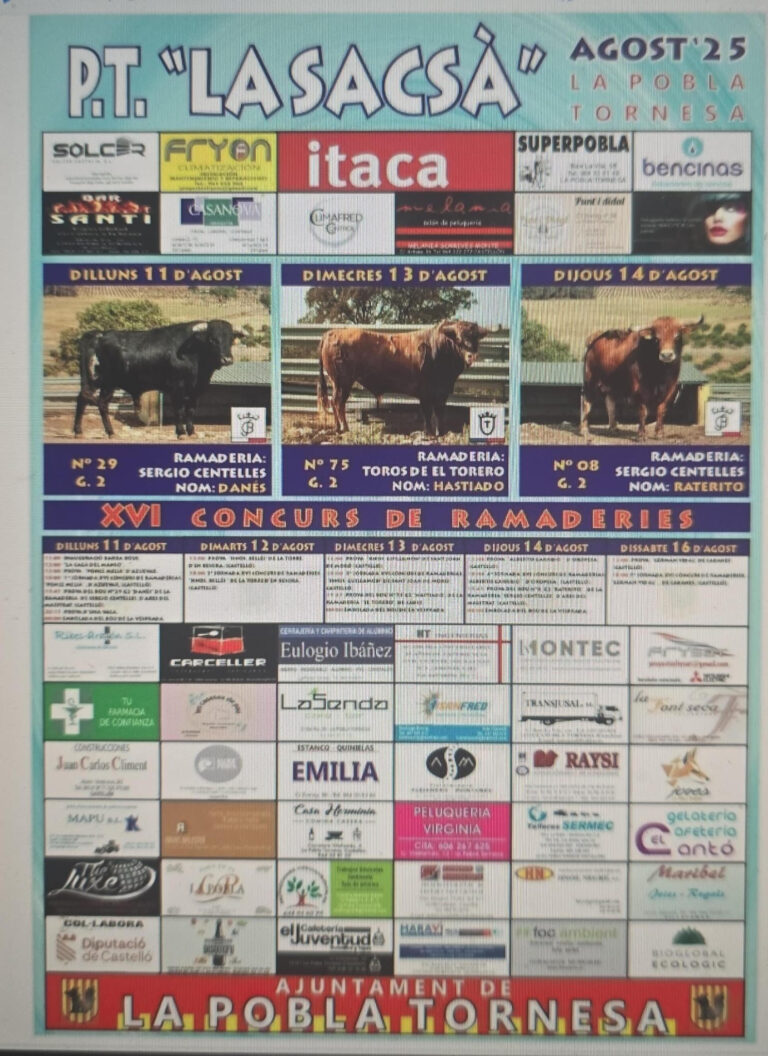 TOROS LA POBLA TORNESA DEL 11 AL 16 DE AGOSTO 2025 - Toros hoy