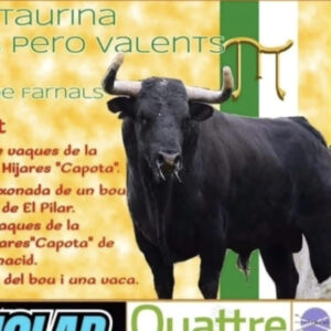 TOROS LA POLBLA DE FARNALS 16 AGOSTO 2025