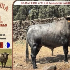 TOROS LA PUEBLA DE FARNALS 22 AGOSTO 2025