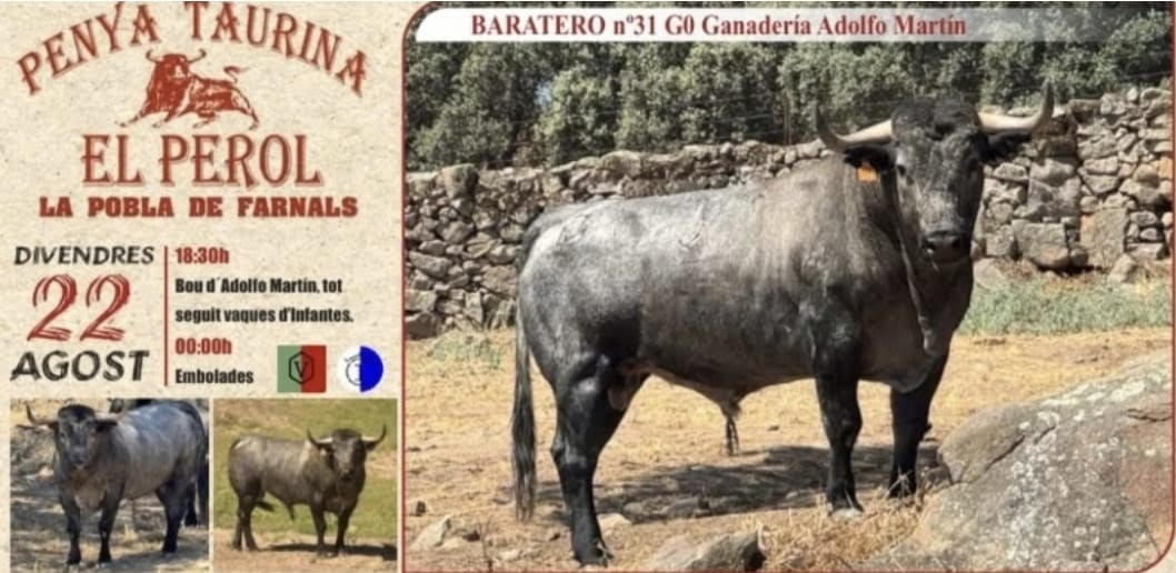 TOROS LA PUEBLA DE FARNALS 22 AGOSTO 2025