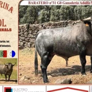TOROS LA PUEBLA DE FARNALS 22 DE AGOSTO 2025