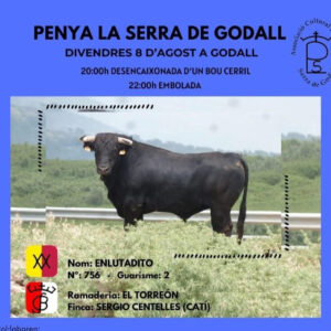 TOROS LA SERRA DE GODALL 8 AGOSTO 2025"