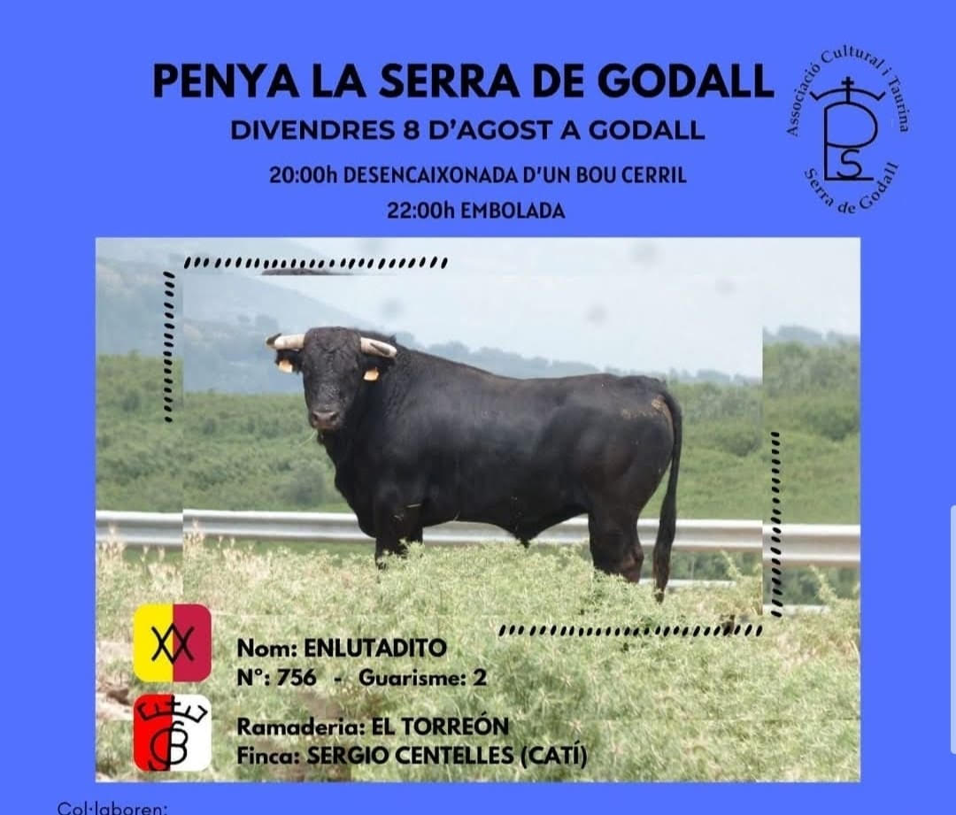 TOROS LA SERRA DE GODALL 8 AGOSTO 2025"