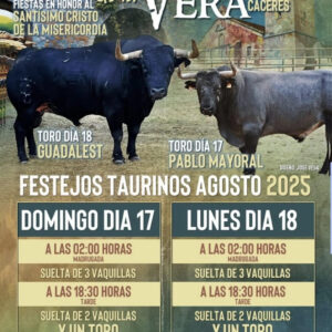 TOROS LOSA DE LA VERA 17 Y 18 DE AGOSTO 2025