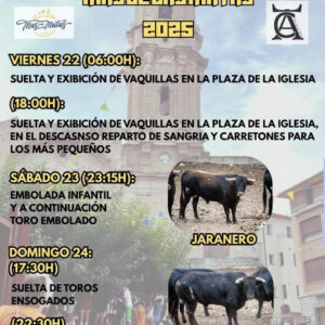 TOROS MASDELASMATAS DEL 22 AL 24 DE AGOSTO 2025