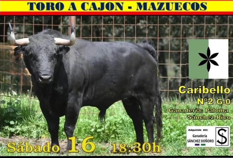 TOROS MAZUECOS 16 AGOSTO 2025