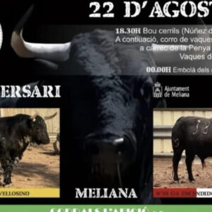 TOROS MELIANA 22 AGOSTO 2025