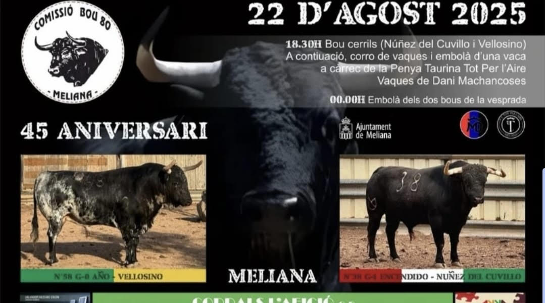 TOROS MELIANA 22 AGOSTO 2025