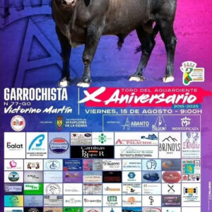 TOROS MIRAFLORES DE LA SIERRA 15 AGOSTO 2025