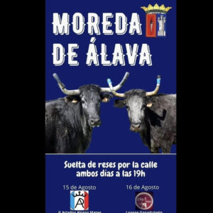 TOROS MODERA DE ALAVA 15 AGOSTO 2025