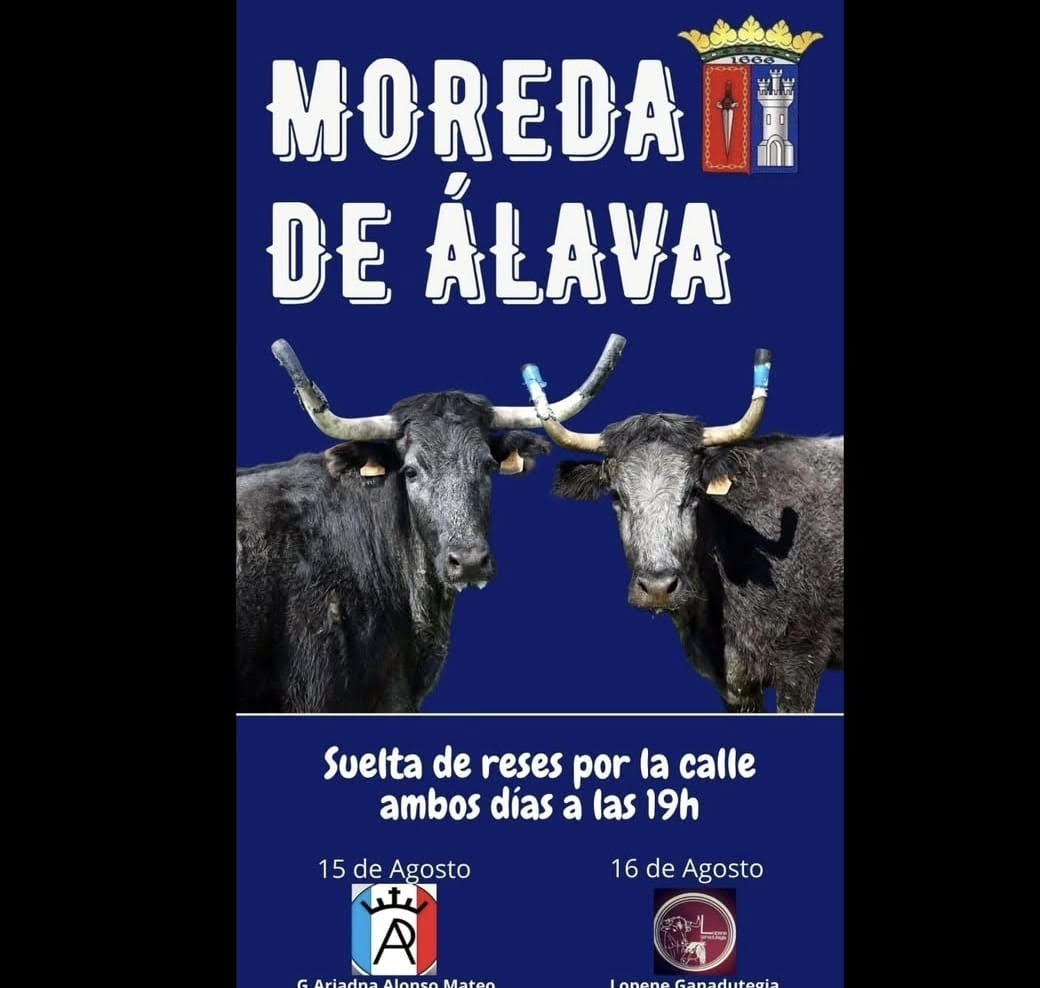 TOROS MODERA DE ALAVA 15 AGOSTO 2025