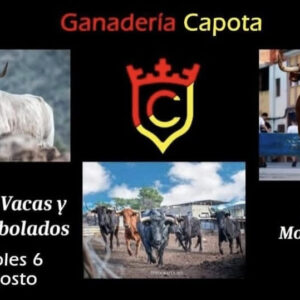 TOROS MONTEBLANCO 6 AGOSTO 2025