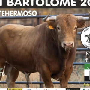 TOROS MONTEHERMOSO 23 AGOSTO 2025