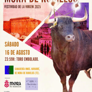 TOROS MORA DE RUBIELOS 16 AGOSTO 2025