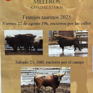 TOROS MORATILLA DE LOS MELEROS 22 AGOSTO 2025