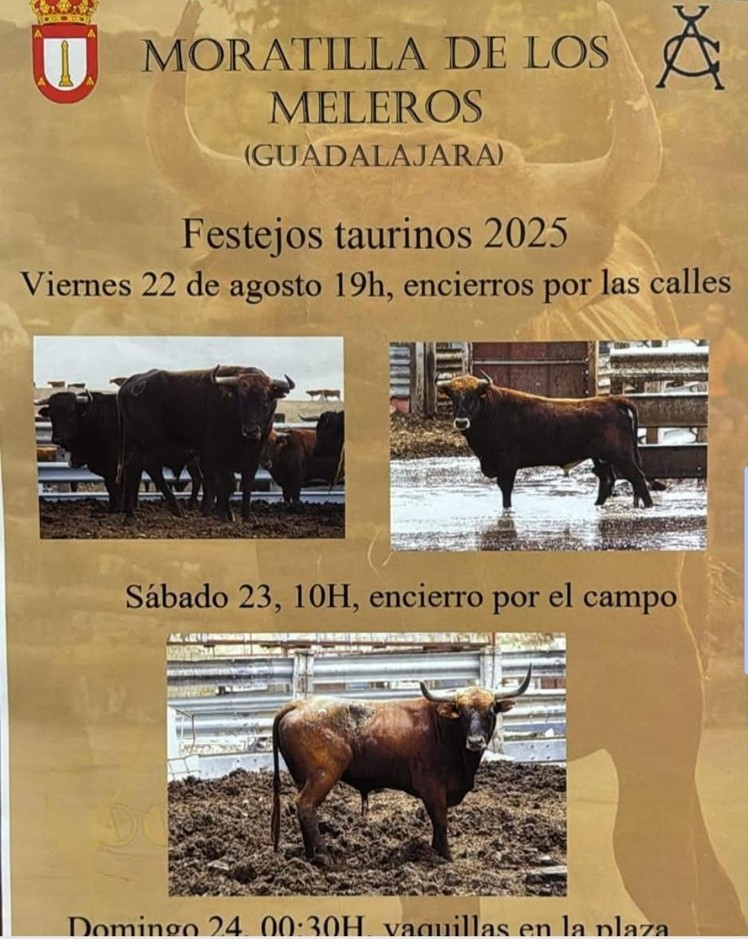 TOROS MORATILLA DE LOS MELEROS 22 AGOSTO 2025