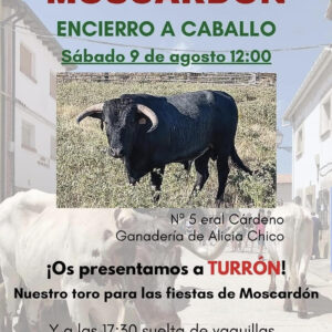 TOROS MOSCARDÓN 9 AGOSTO 2025