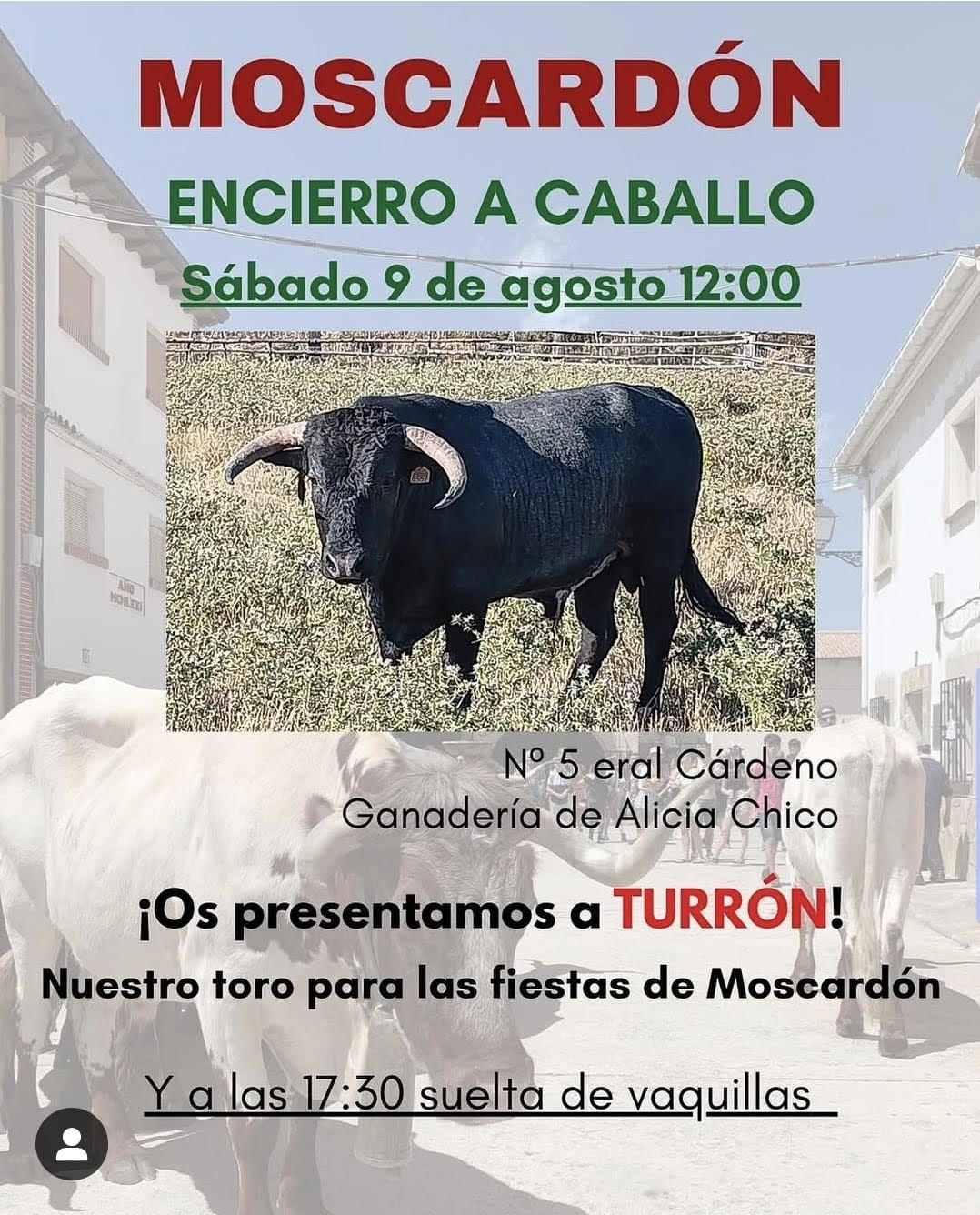 TOROS MOSCARDÓN 9 AGOSTO 2025