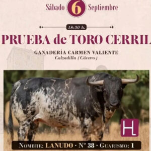TOROS MOSQUERUELA 6 SEPTIEMBRE 2025