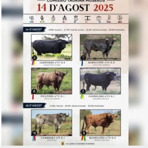 TOROS MUSEROS 18 AGOSTO 2025