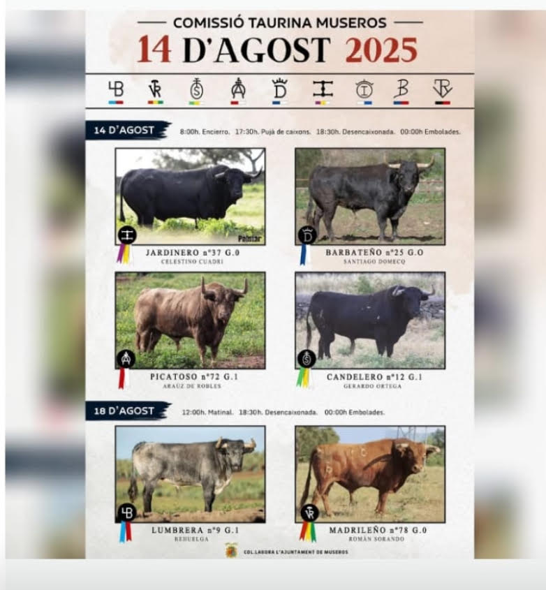 TOROS MUSEROS 18 AGOSTO 2025