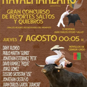 TOROS NAVALMANZANO 7 AGOSTO 2025