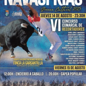 "TOROS NAVASFRIAS 14 Y 15 DE AGOSTO 2025"