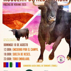 TOROS NOGUERA DE ALBARRACÍN 10 DE AGOSTO 2025