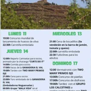TOROS NOGUERUELAS DEL 11 DE AGOSTO 2025