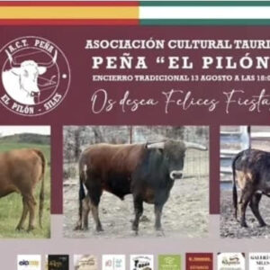 TOROS PEÑA EL PILON SALES 13 AGOSTO 2025"
