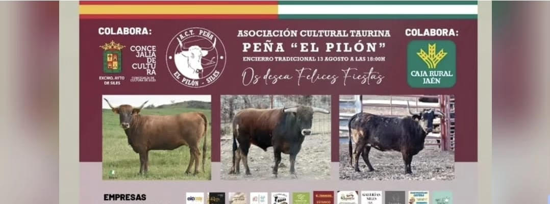 TOROS PEÑA EL PILON SALES 13 AGOSTO 2025"