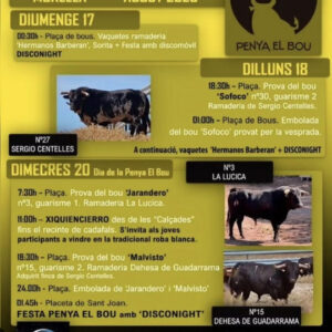 TOROS PENYA EL BOU MORELLA DEL 17 AL 20 DE AGOSTO 2025