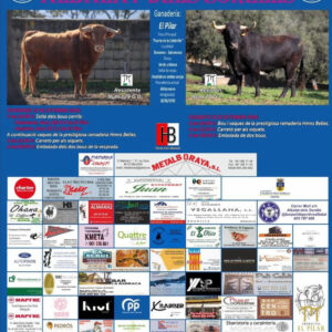 TOROS PENYA TAURINA CENTRE 12 Y 13 SEPTIEMBRE 2025