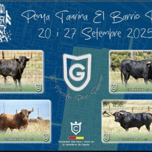 TOROS PENYA TAURINA EL BARRIO PICOL 20 DE SEPTIEMBRE 2025"