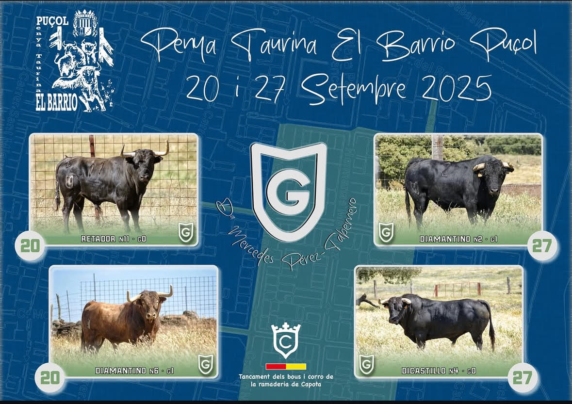 TOROS PENYA TAURINA EL BARRIO PICOL 20 DE SEPTIEMBRE 2025"