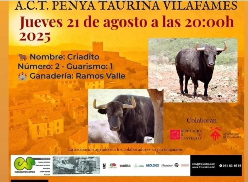 TOROS PENYA TAURINA VILAFAMES 21 AGOSTO 2025"