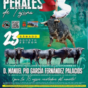 TOROS PERALES DE TAJUÑA 23 AGOSTO 2025