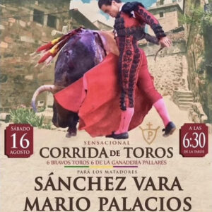 TOROS PLAZA DE TOROS PIEDRALAVES 16 AGOSTO 2025