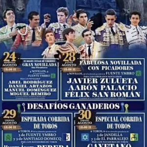 TOROS PLAZA DE TOROS TARAZONA 24 AGOSTO 2025