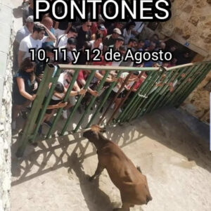 TOROS PONTONES DEL 10 AL 12 DE AGOSTO 2025