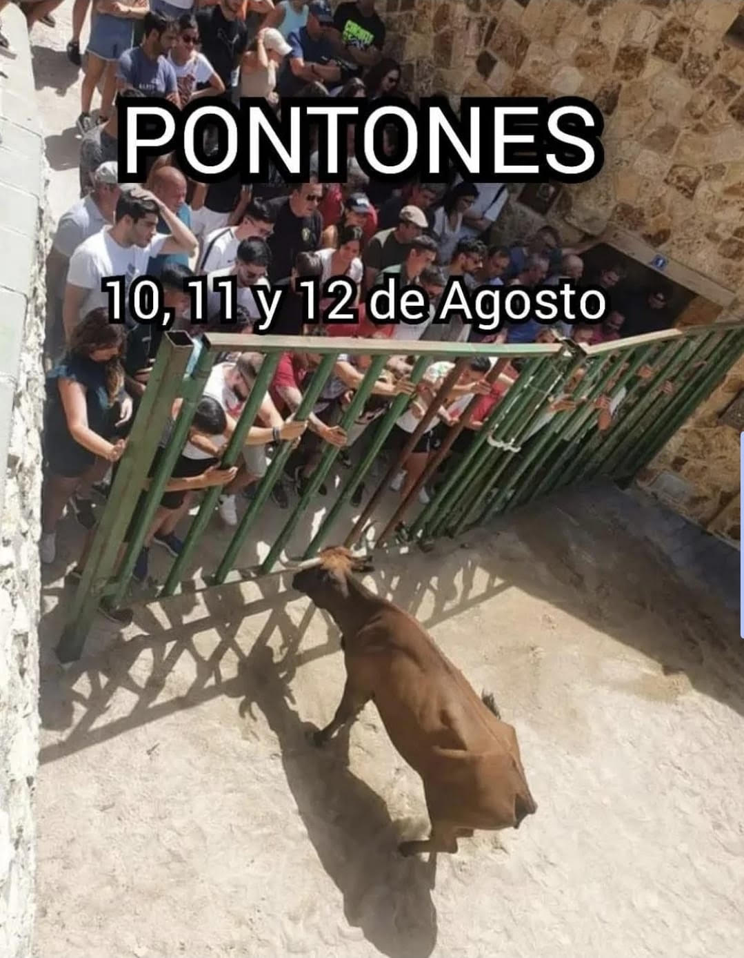 TOROS PONTONES DEL 10 AL 12 DE AGOSTO 2025
