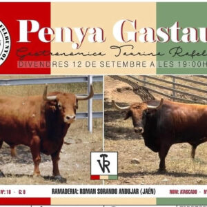 TOROS RAFELBUÑOL 12 SEPTIEMBRE 2025