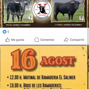 TOROS-RAFELBUÑOL-16-AGOSTO-2025