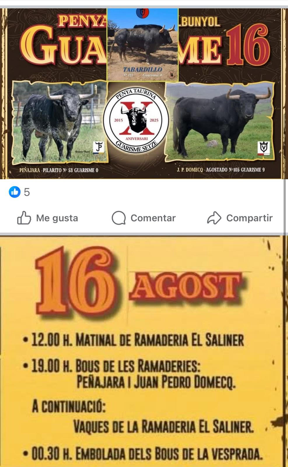 TOROS-RAFELBUÑOL-16-AGOSTO-2025