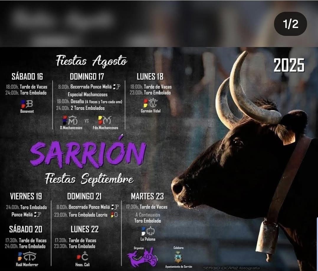 TOROS SARRIÓN 16 17 Y 18 DE AGOSTO 2025